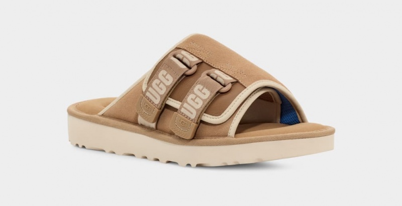 Ugg Goldencoast Strap Muške Natikače Smeđe | QMV318925