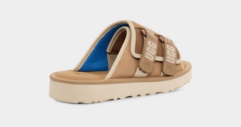 Ugg Goldencoast Strap Muške Natikače Smeđe | QMV318925