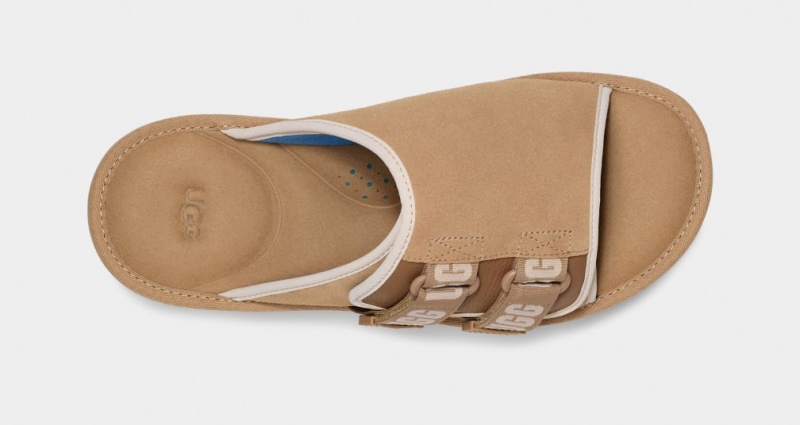 Ugg Goldencoast Strap Muške Natikače Smeđe | QMV318925