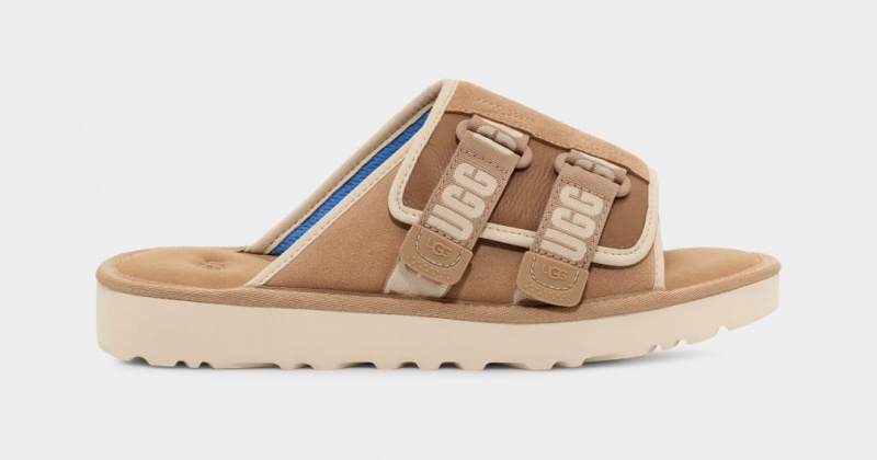 Ugg Goldencoast Strap Muške Natikače Smeđe | QMV318925