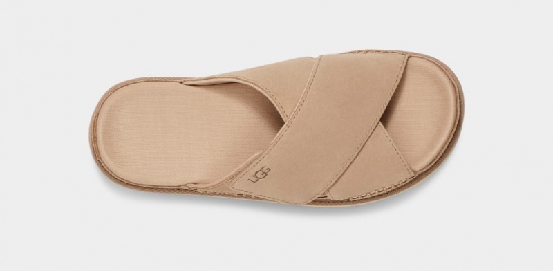 Ugg Goldenstar Cross Ženske Natikače Smeđe | JOR596418