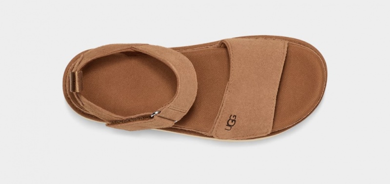 Ugg Goldenstar Ženske Sandale Smeđe | HKL385097