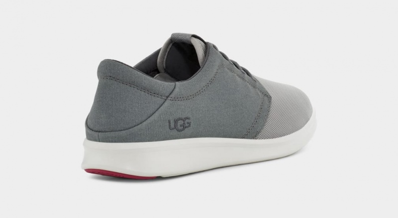 Ugg Greyson Muške Patike Sive | FML105486