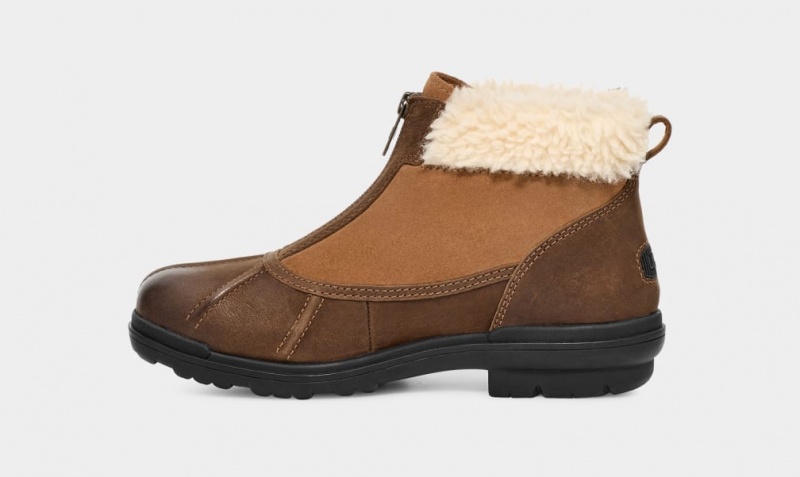 Ugg Hapsburg Zip Ženske Cizme Smeđe | LCK632175