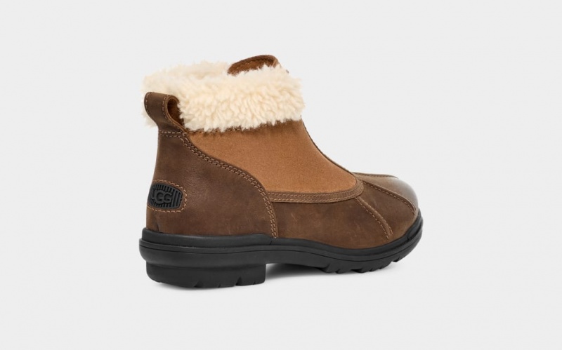 Ugg Hapsburg Zip Ženske Cizme Smeđe | LCK632175