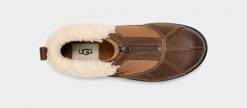 Ugg Hapsburg Zip Ženske Cizme Smeđe | LCK632175