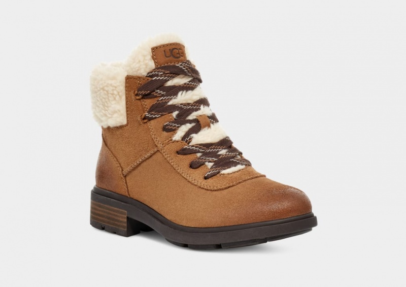 Ugg Harrison Cozy Lace Ženske Cizme Smeđe | XBY741395