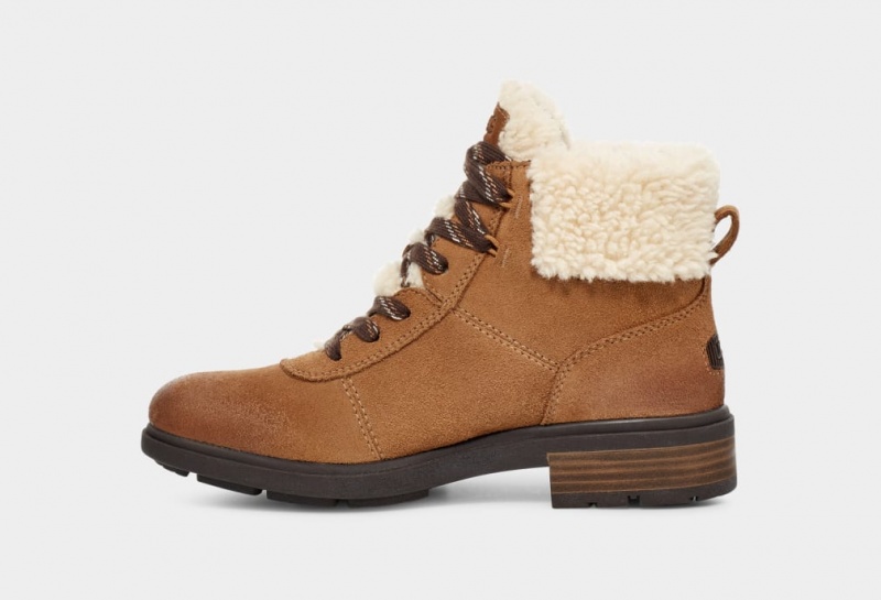 Ugg Harrison Cozy Lace Ženske Cizme Smeđe | XBY741395