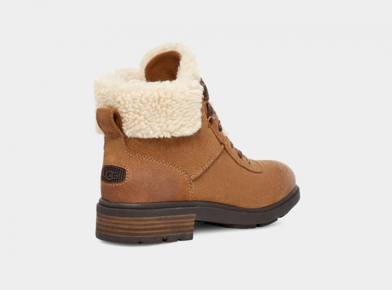 Ugg Harrison Cozy Lace Ženske Cizme Smeđe | XBY741395