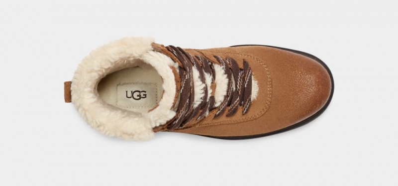 Ugg Harrison Cozy Lace Ženske Cizme Smeđe | XBY741395