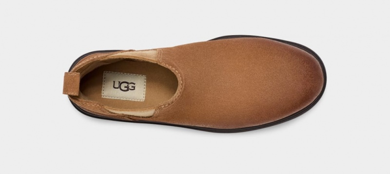 Ugg Harrison Ženske Chelsea Čizme Smeđe | YDZ152634