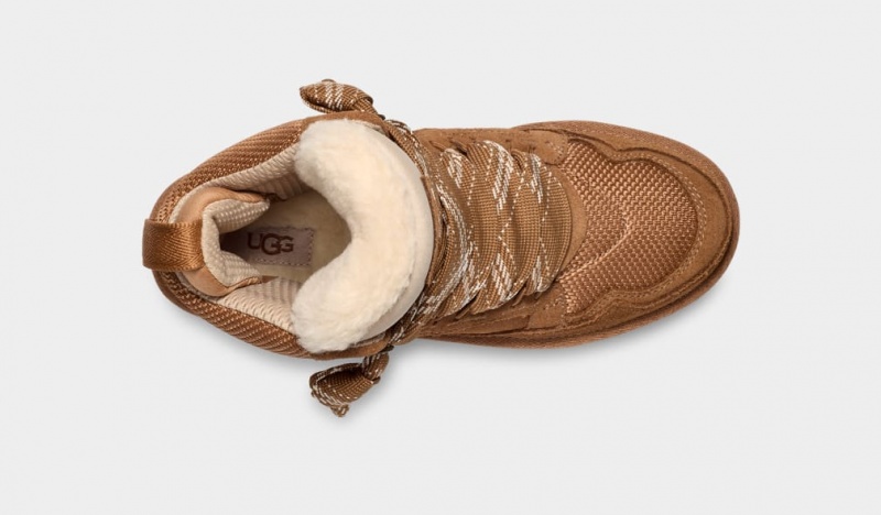 Ugg Highmel Ženske Patike Smeđe | FVM394016