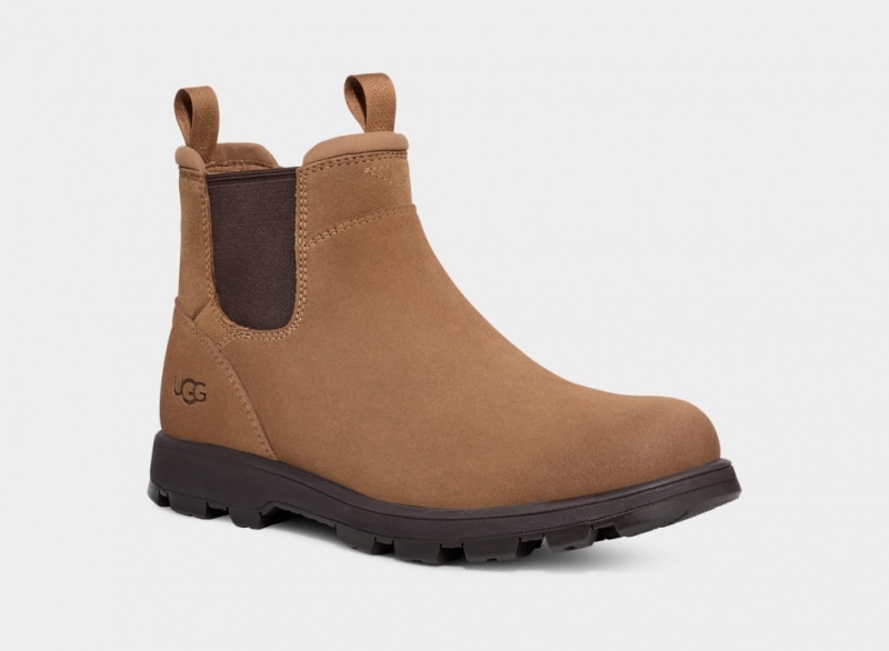 Ugg Hillmont Muške Chelsea Čizme Smeđe | VJB971625