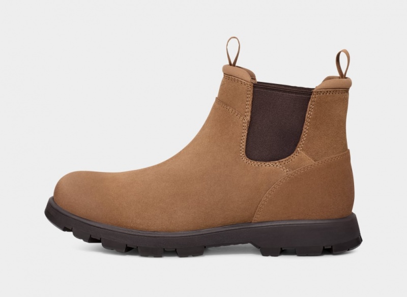 Ugg Hillmont Muške Chelsea Čizme Smeđe | VJB971625