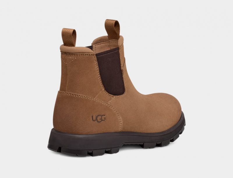 Ugg Hillmont Muške Chelsea Čizme Smeđe | VJB971625