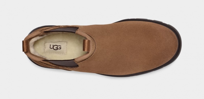 Ugg Hillmont Muške Chelsea Čizme Smeđe | VJB971625