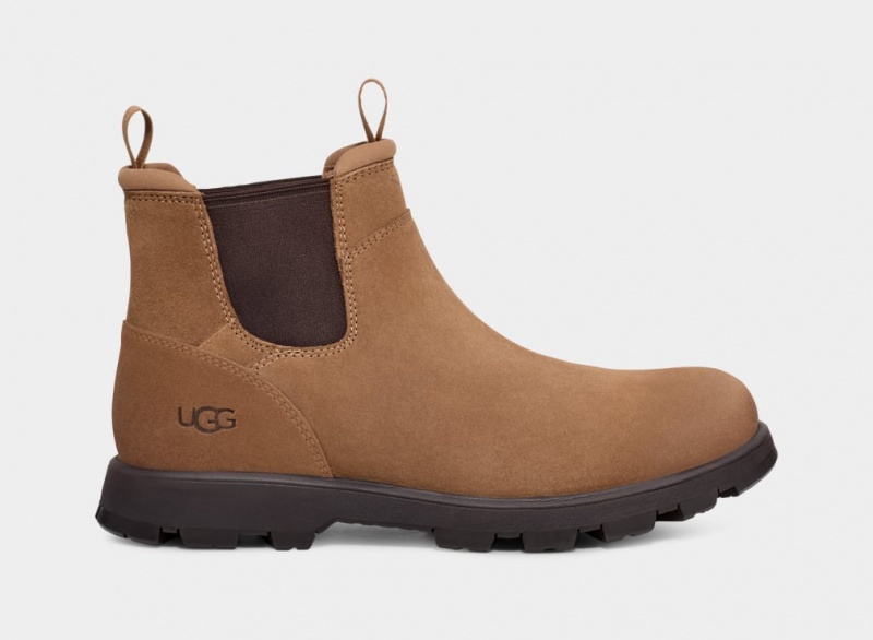 Ugg Hillmont Muške Chelsea Čizme Smeđe | VJB971625