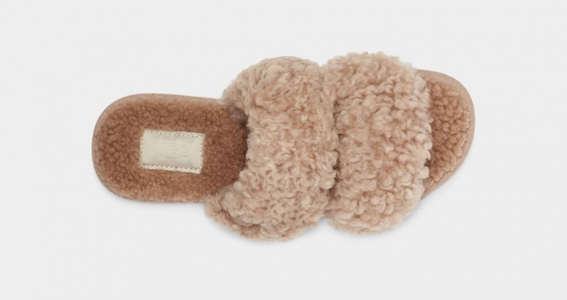 Ugg Maxi Curly Scuffetta Ženske Papuče Smeđe | JTX452910