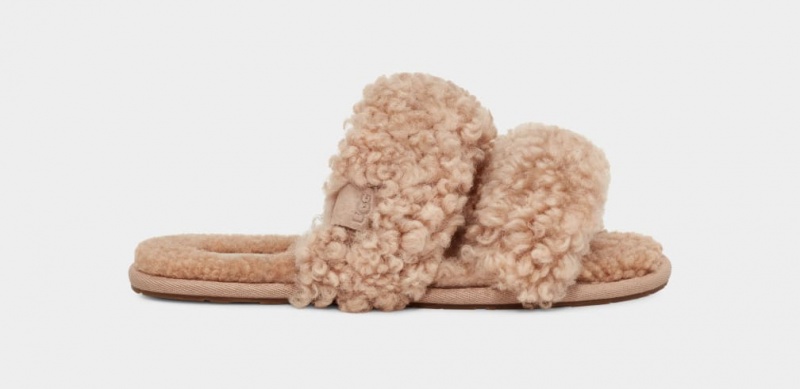 Ugg Maxi Curly Scuffetta Ženske Papuče Smeđe | JTX452910