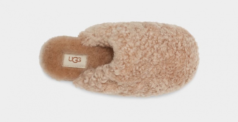 Ugg Maxi Curly Ženske Papuče Smeđe | AKZ306251