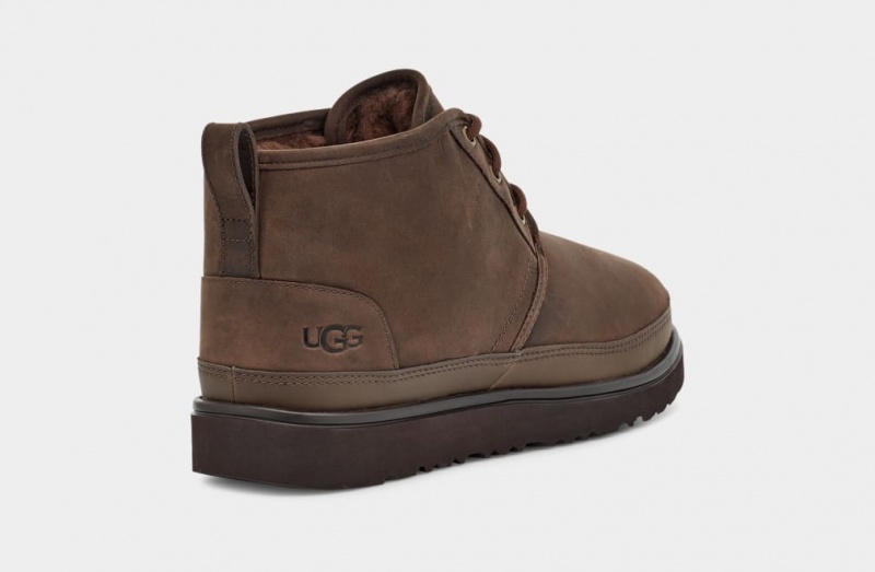 Ugg Neumel Weather II Muške Cizme Smeđe | QUN742135