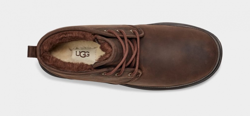 Ugg Neumel Weather II Muške Cizme Smeđe | QUN742135