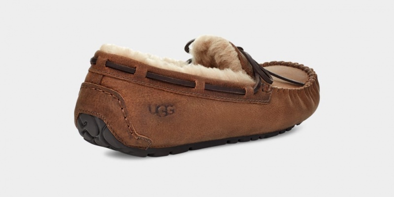 Ugg Olsen Muške Mokasinke Smeđe | LMG573049