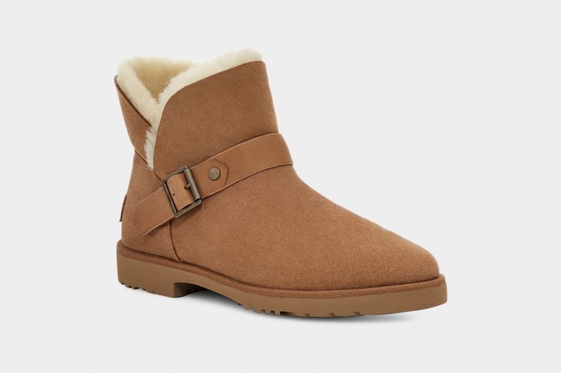 Ugg Romely Buckle Ženske Cizme Smeđe | BXQ109285