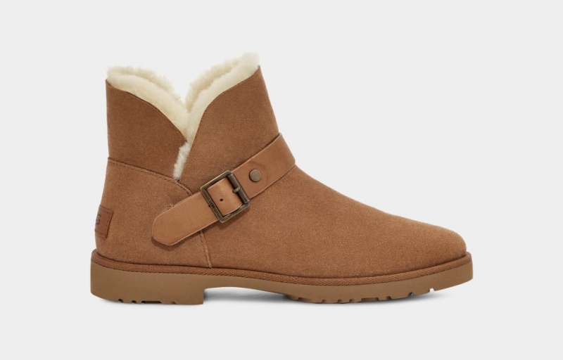 Ugg Romely Buckle Ženske Cizme Smeđe | BXQ109285