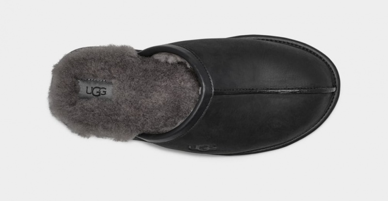 Ugg Scuff Koža Muške Papuče Crne | LFO478951