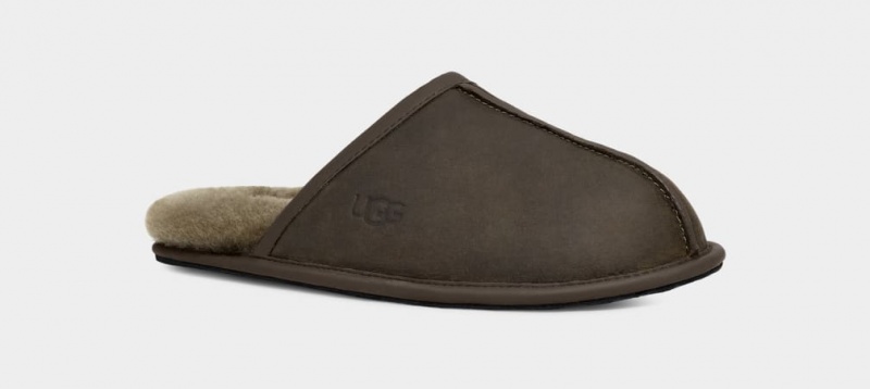 Ugg Scuff Koža Muške Papuče Maslinasto Zelene | ZMW589613