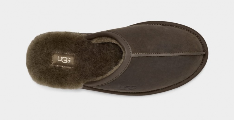 Ugg Scuff Koža Muške Papuče Maslinasto Zelene | ZMW589613