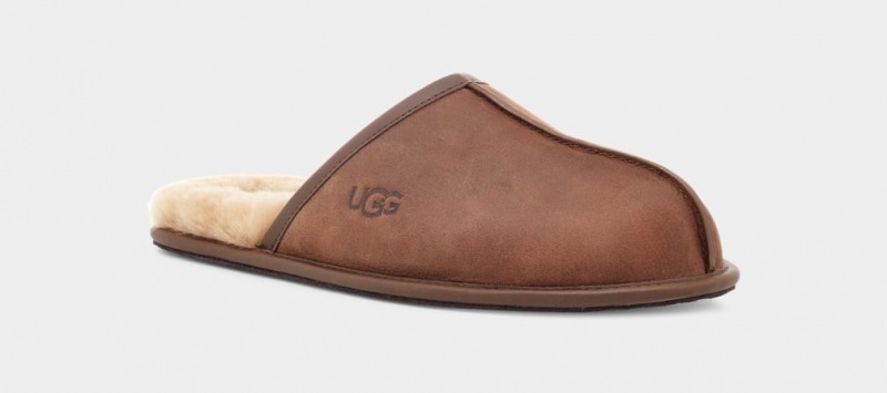 Ugg Scuff Koža Muške Papuče Smeđe | SGR701563