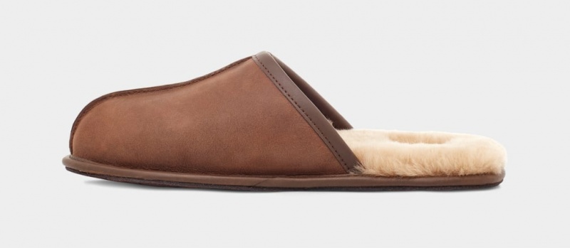 Ugg Scuff Koža Muške Papuče Smeđe | SGR701563