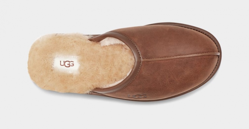 Ugg Scuff Koža Muške Papuče Smeđe | SGR701563