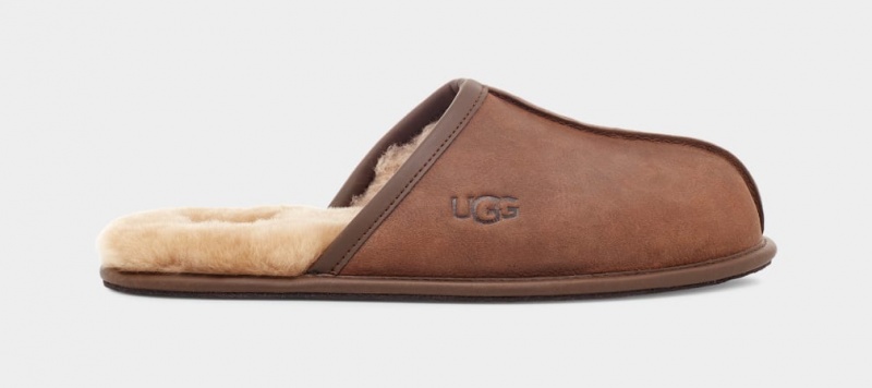 Ugg Scuff Koža Muške Papuče Smeđe | SGR701563