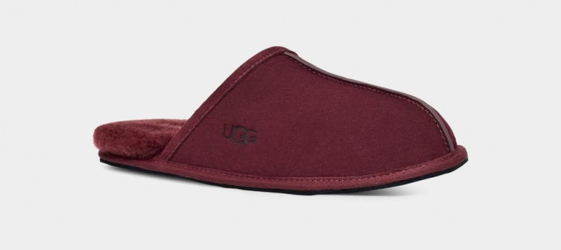 Ugg Scuff Muške Papuče Ljubičaste | HYZ879245