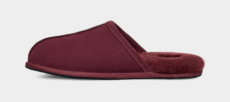 Ugg Scuff Muške Papuče Ljubičaste | HYZ879245