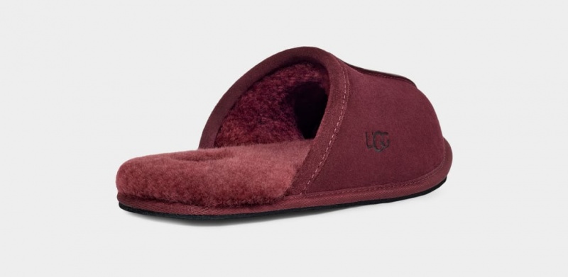 Ugg Scuff Muške Papuče Ljubičaste | HYZ879245