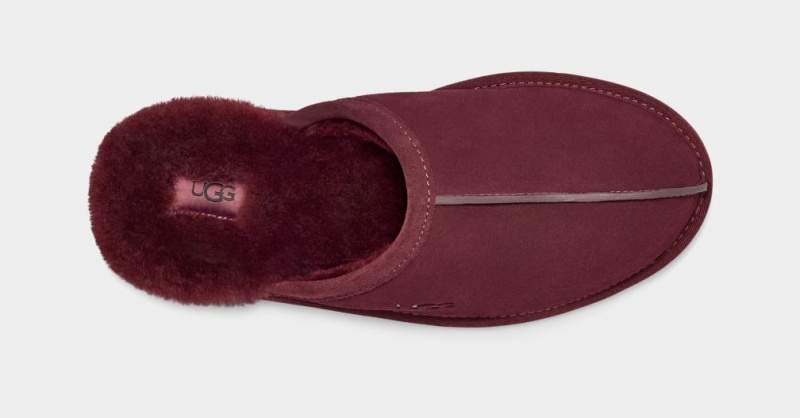 Ugg Scuff Muške Papuče Ljubičaste | HYZ879245