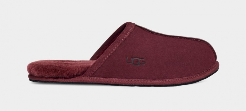 Ugg Scuff Muške Papuče Ljubičaste | HYZ879245