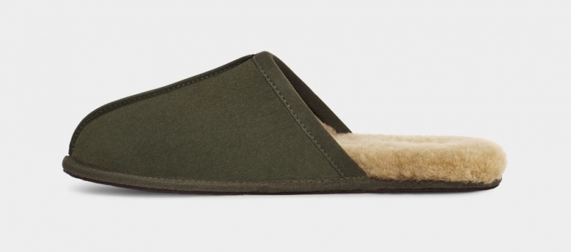 Ugg Scuff Muške Papuče Maslinasto Zelene | AYQ590746