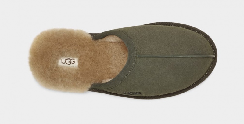 Ugg Scuff Muške Papuče Maslinasto Zelene | AYQ590746