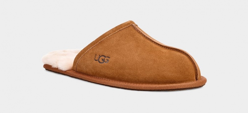 Ugg Scuff Muške Papuče Smeđe | NEA136809