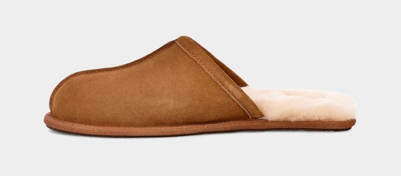 Ugg Scuff Muške Papuče Smeđe | NEA136809