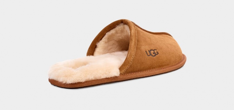 Ugg Scuff Muške Papuče Smeđe | NEA136809