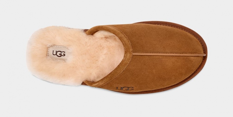 Ugg Scuff Muške Papuče Smeđe | NEA136809