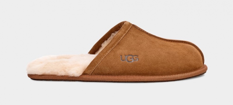 Ugg Scuff Muške Papuče Smeđe | NEA136809