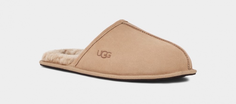 Ugg Scuff Muške Papuče Smeđe | NTE239074