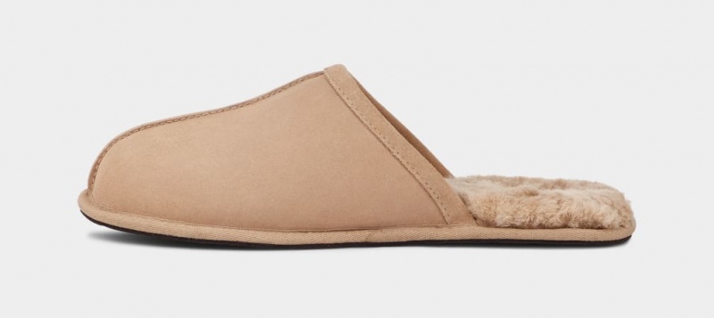 Ugg Scuff Muške Papuče Smeđe | NTE239074